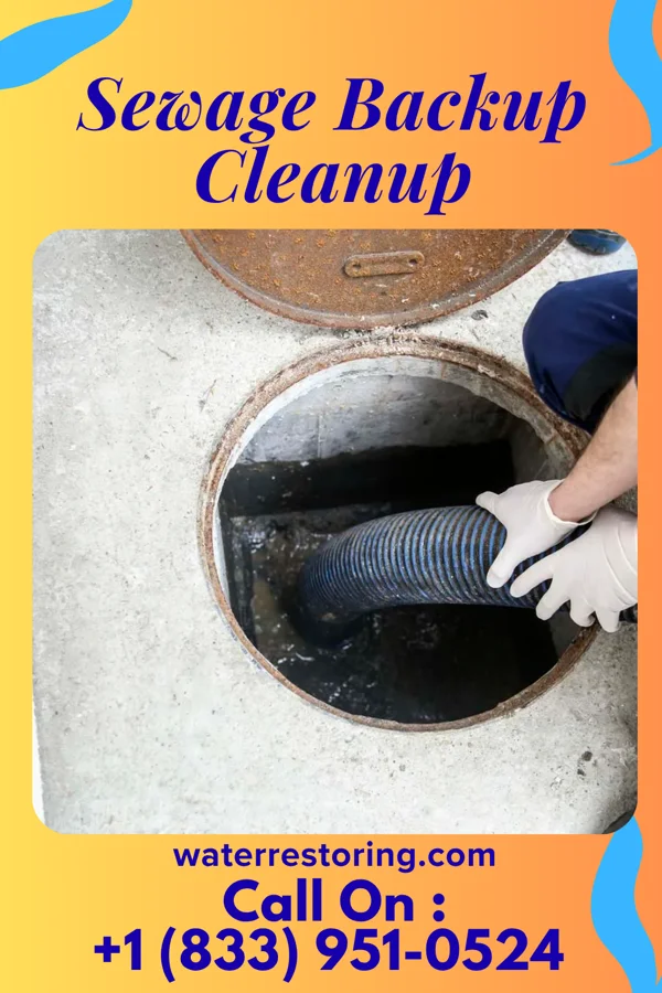 Sewage Backup Cleanup in Mahaska, KS