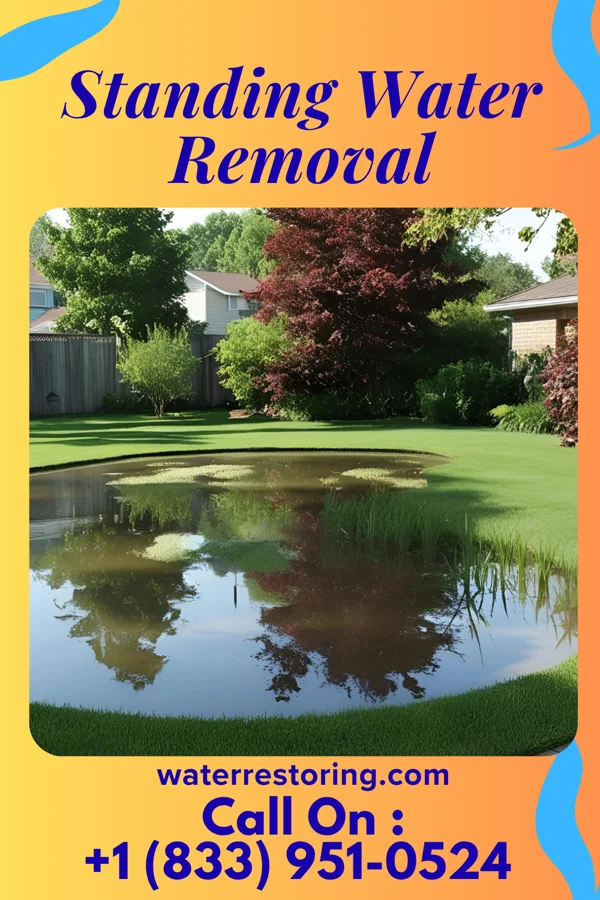 Standing Water Removal in Mahaska, KS